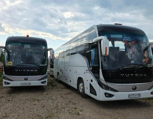 Автобусы